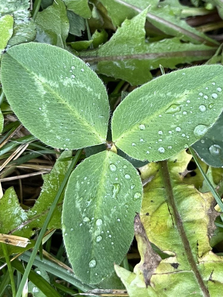 Фотография автора Evgeniya Sychkova