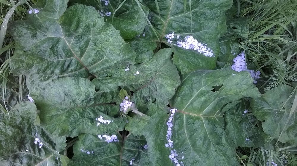 Photograph by Наталия