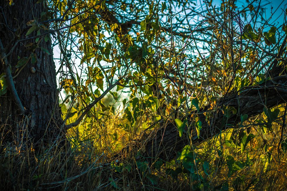 Начало осени