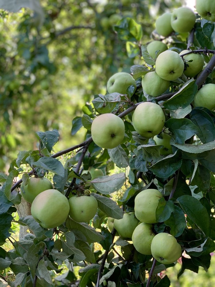 Photograph by Елена Смирнова