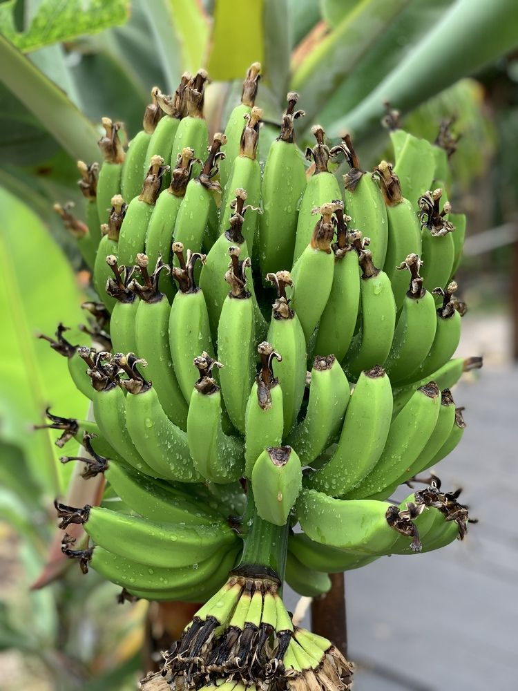 Photograph by Елена Смирнова