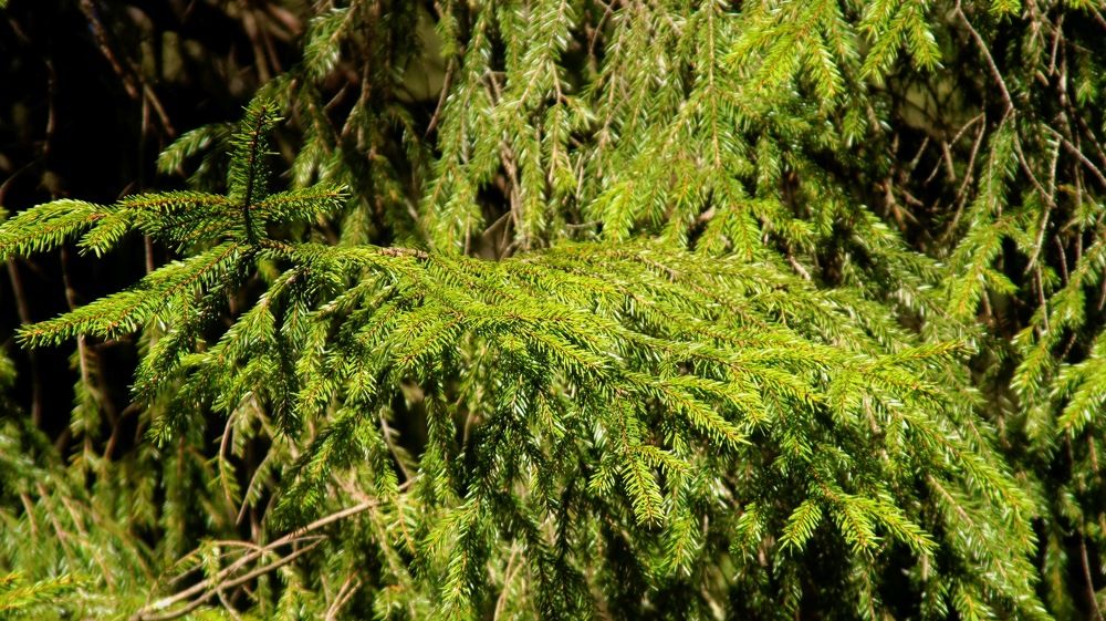 Photograph by Igors Rostikovs