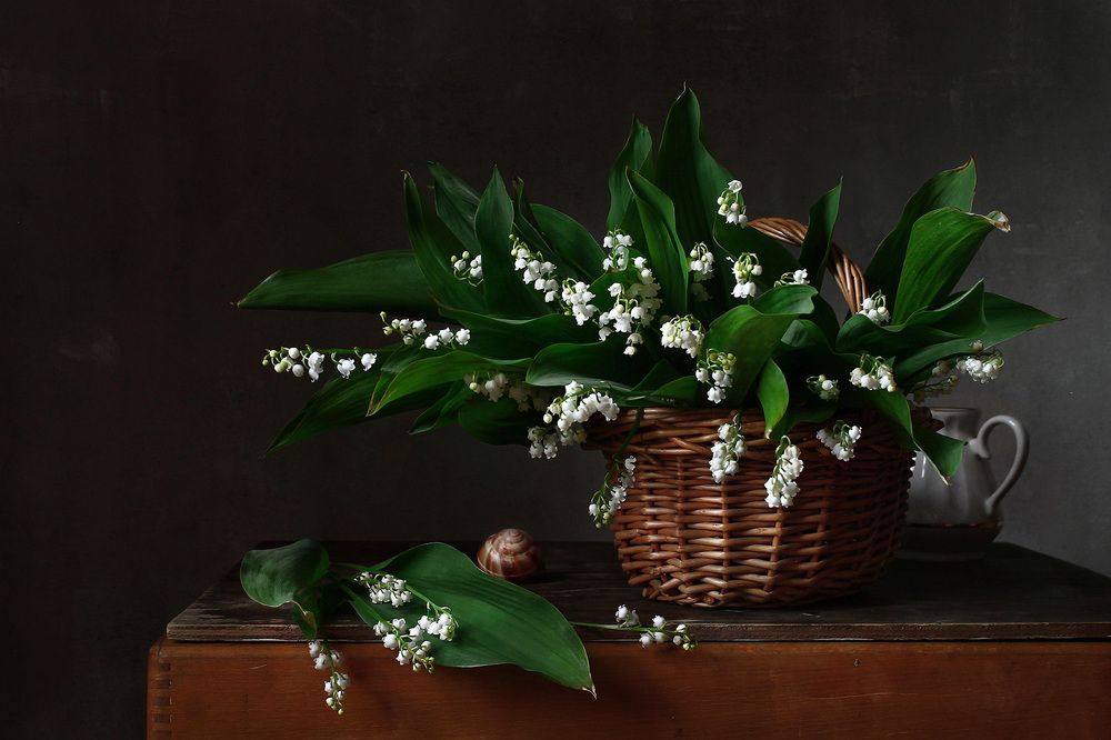 Photograph by Курочкина Диана