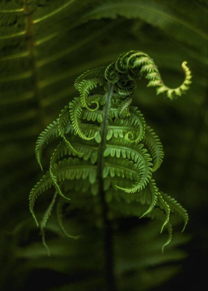 Photograph by Алексей Горин