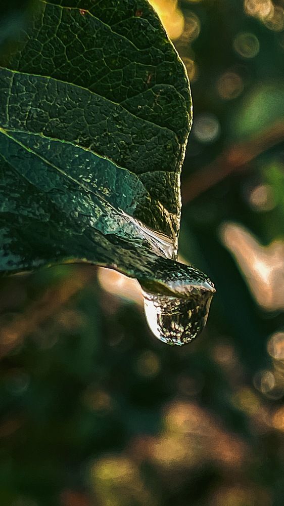 Photograph by Ольга Дорошенко