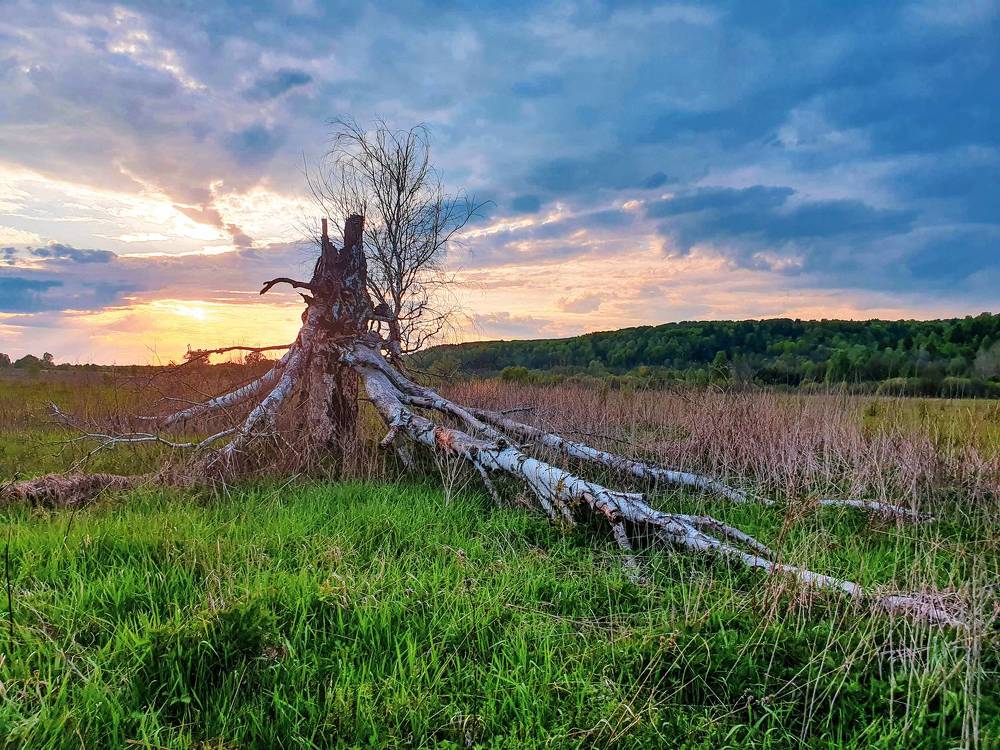 Photograph by Олег Титкин