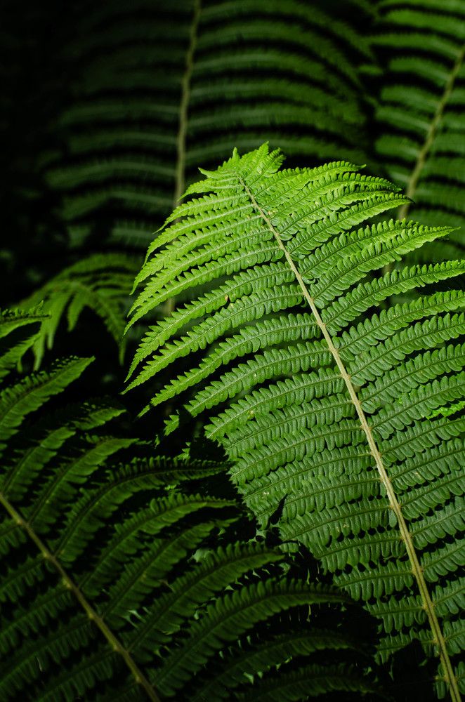 Photograph by Юлия Сидорова