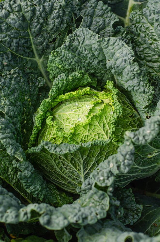 Photograph by Юлия Сидорова