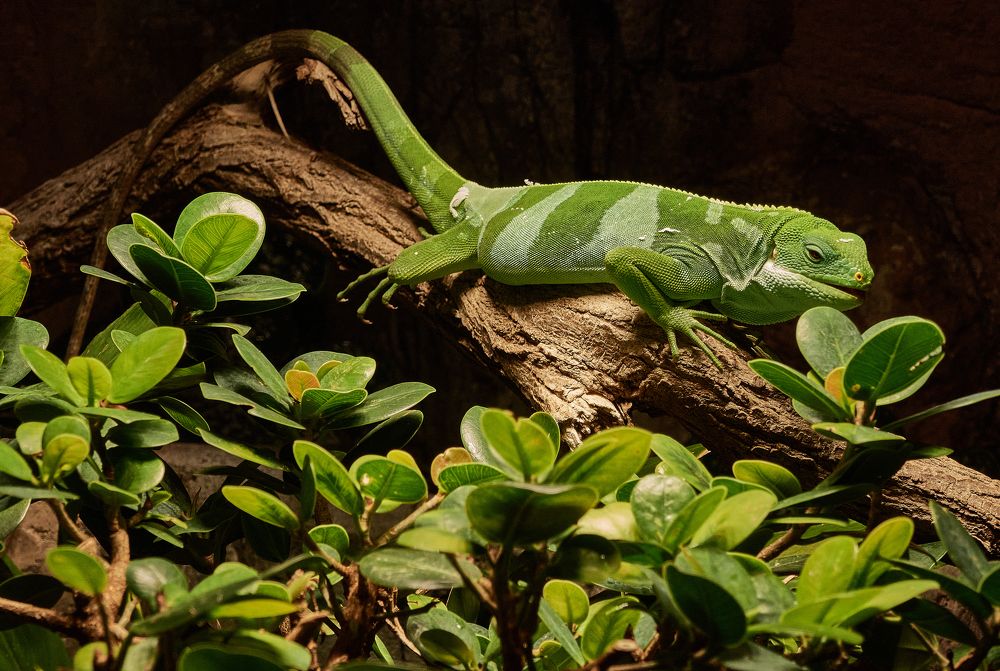 Фотография автора Ekaterina Palant