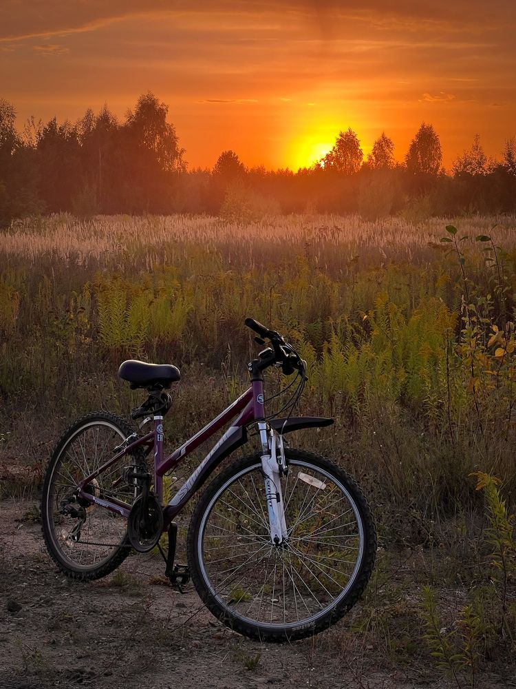 Photograph by Елена Башмакова