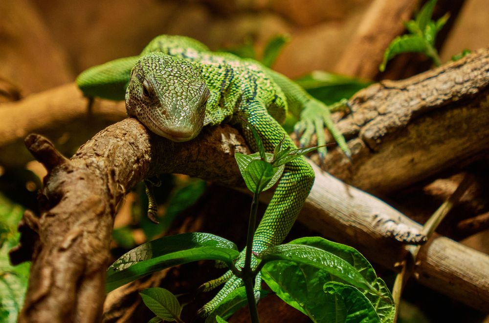 Фотография автора Ekaterina Palant