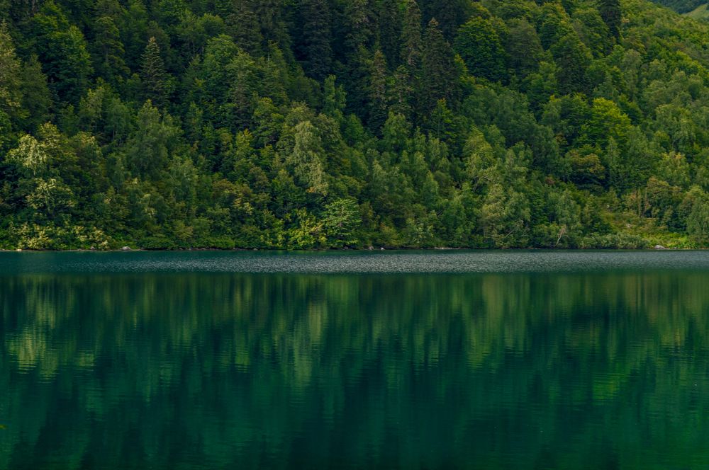 Photograph by Анастасия