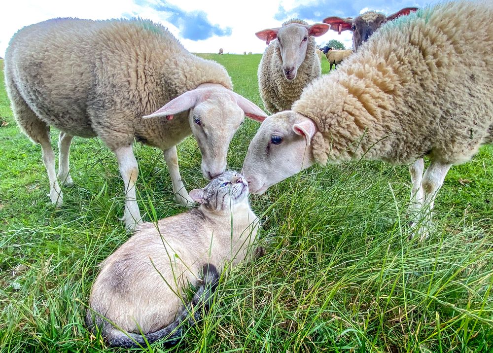 Photograph by LYUDMYLA POKRYSHEN