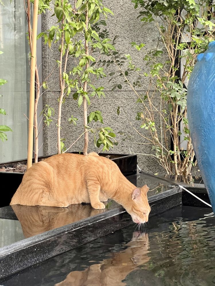 Photograph by Bhupendra Bagla