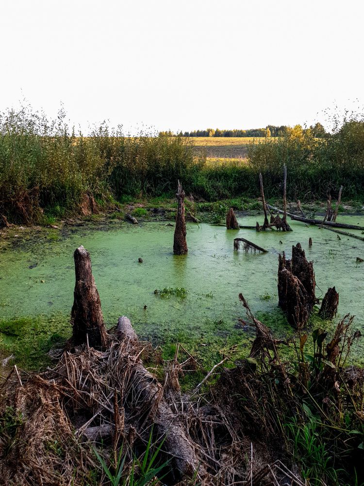 Photograph by Олег Титкин