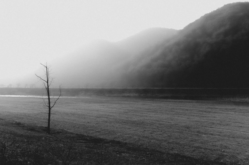 Photograph by Hwan Lee