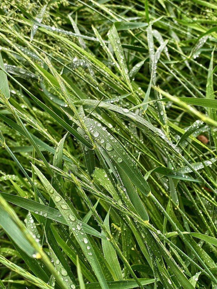 Фотография автора Nadezhda