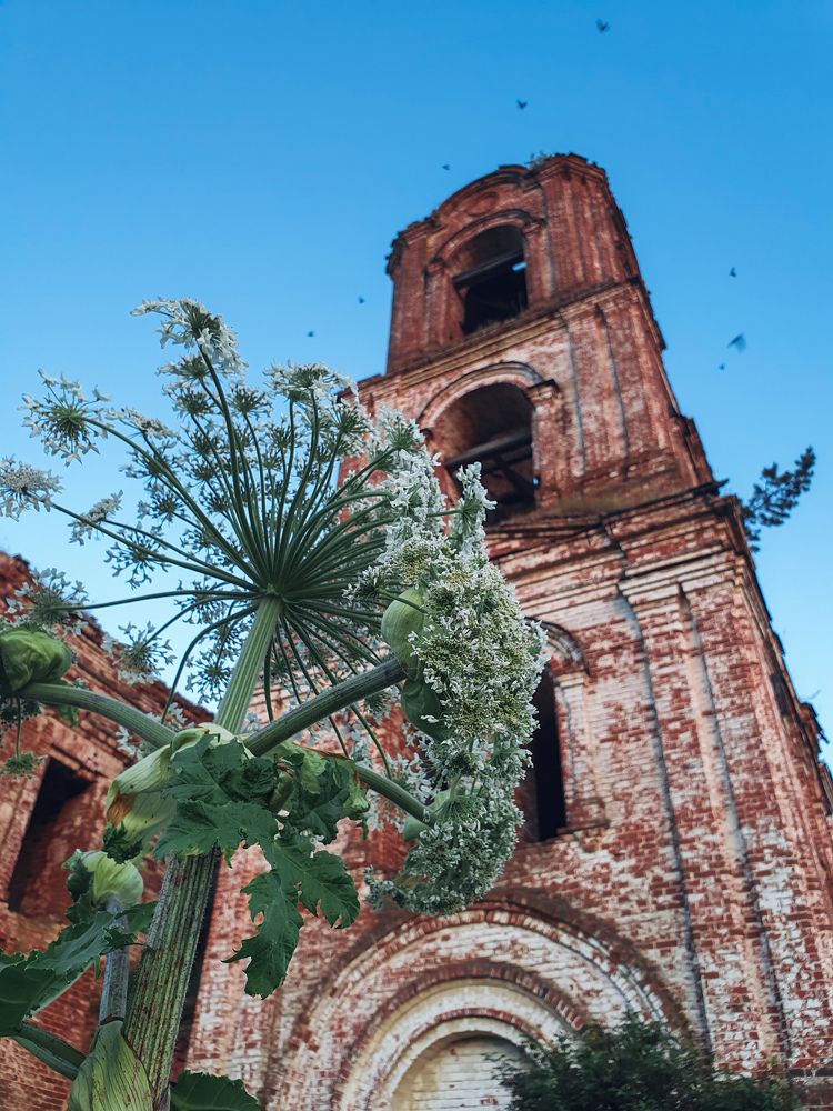 Photograph by Олег Титкин