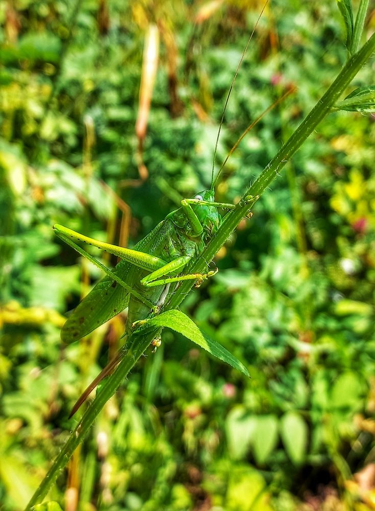 Photograph by Юлия Коробкова