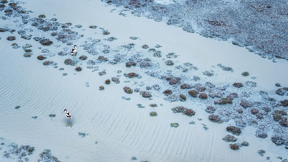 Photograph by Tímea Ambrus