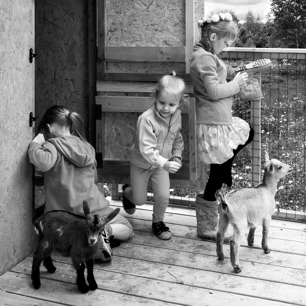 Photograph by Алексей Окунеев