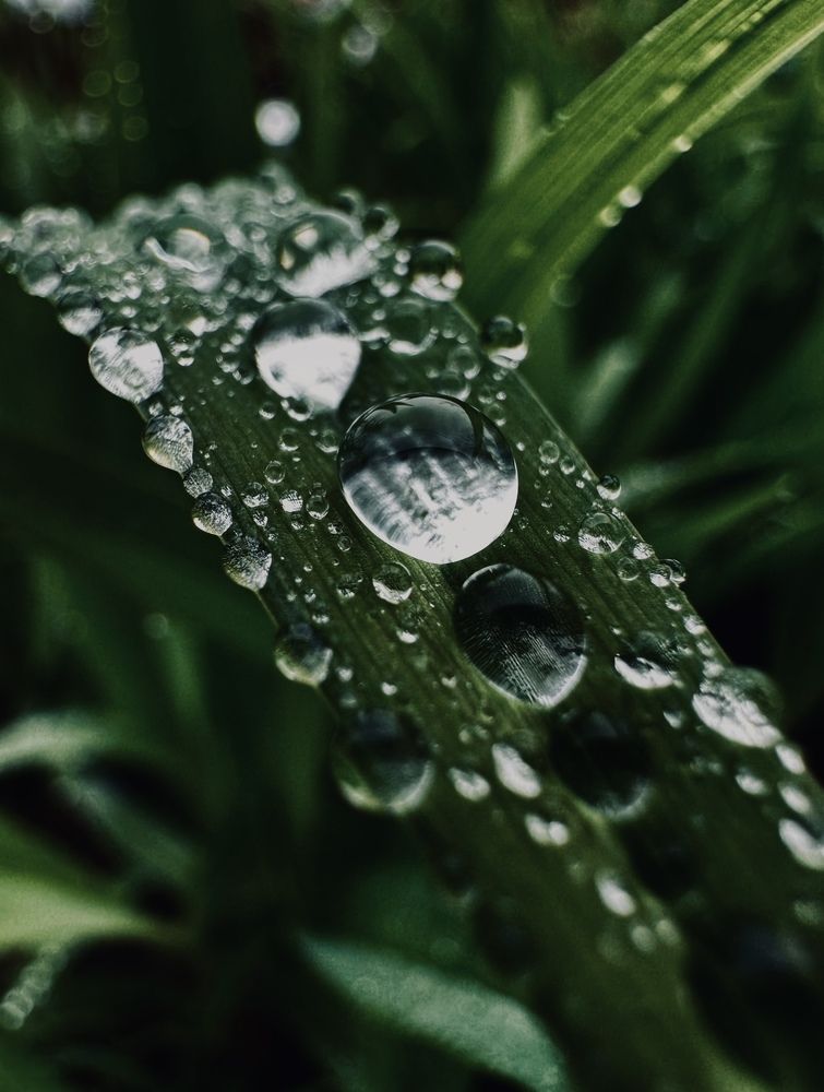 Photograph by Диана Бадеева