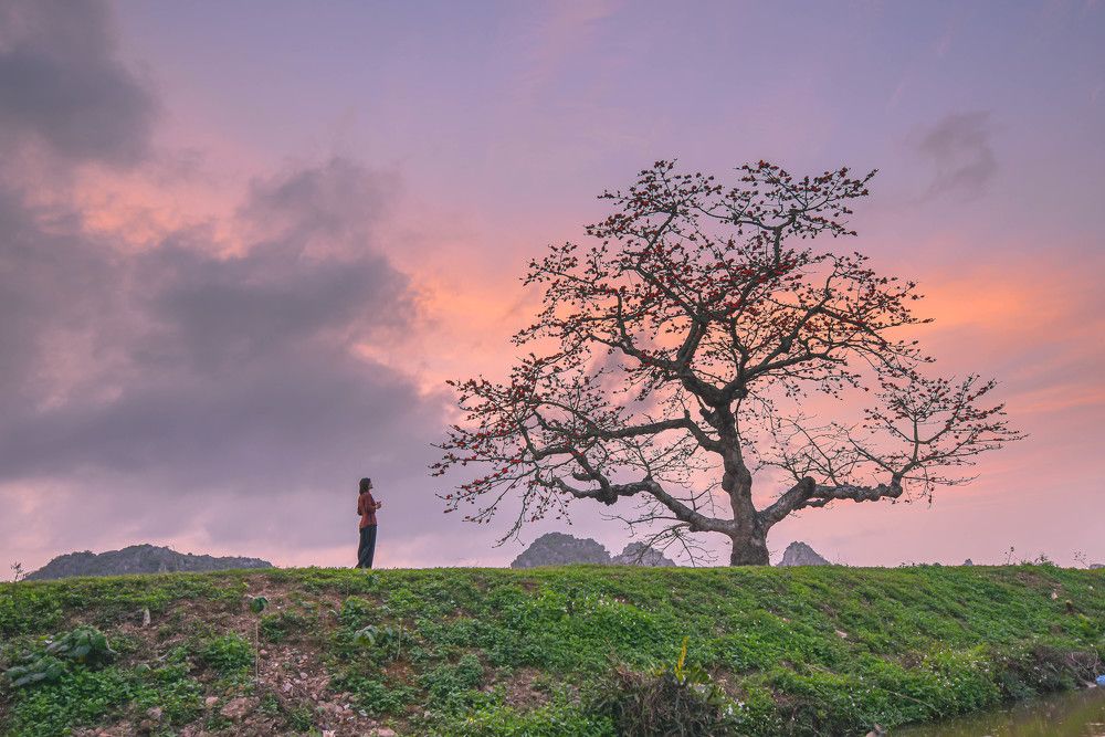 Photograph by NAM BUI