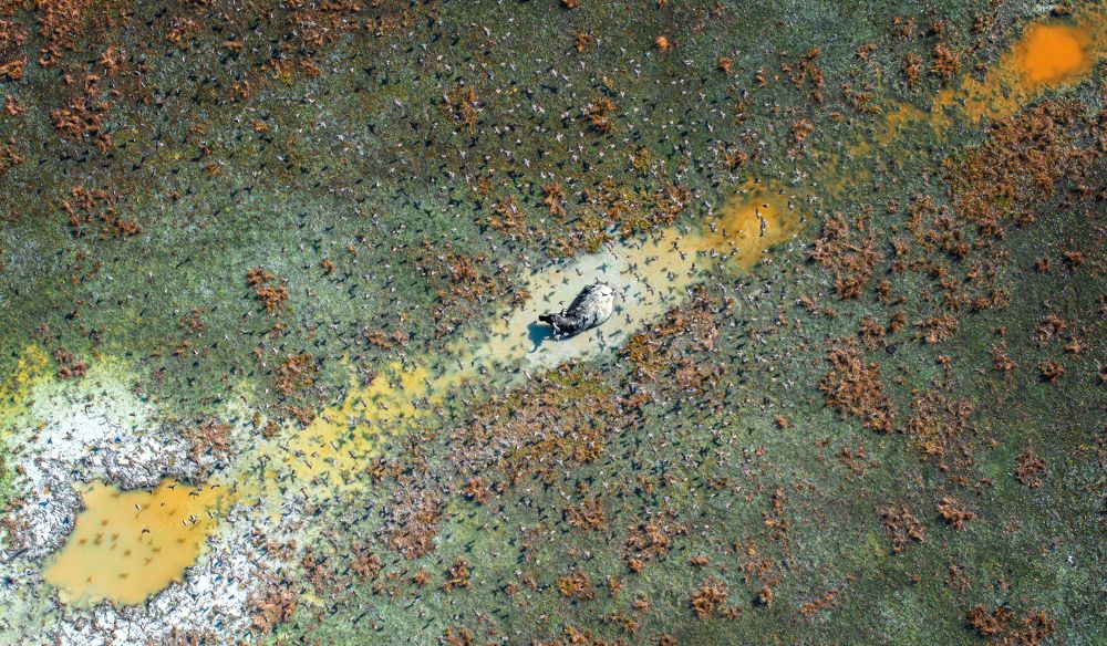 Photograph by Tímea Ambrus