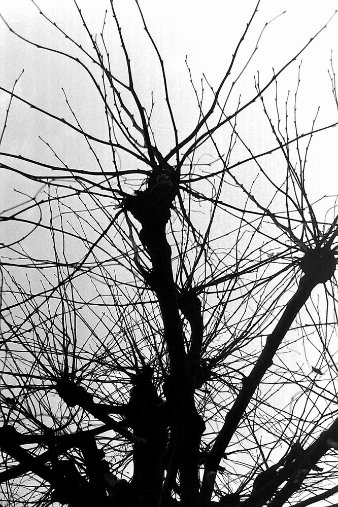 Photograph by Georgiy Fedotov