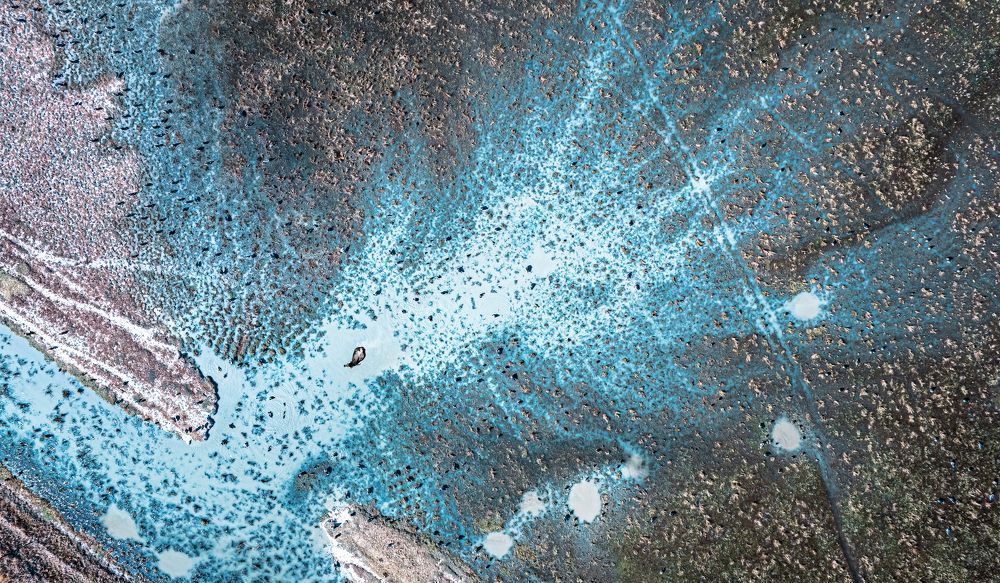 Photograph by Tímea Ambrus