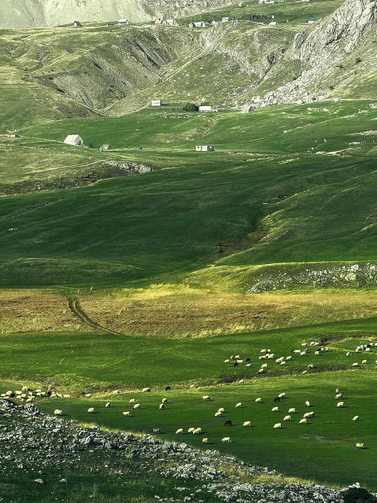 Photograph by Uliana Volegova