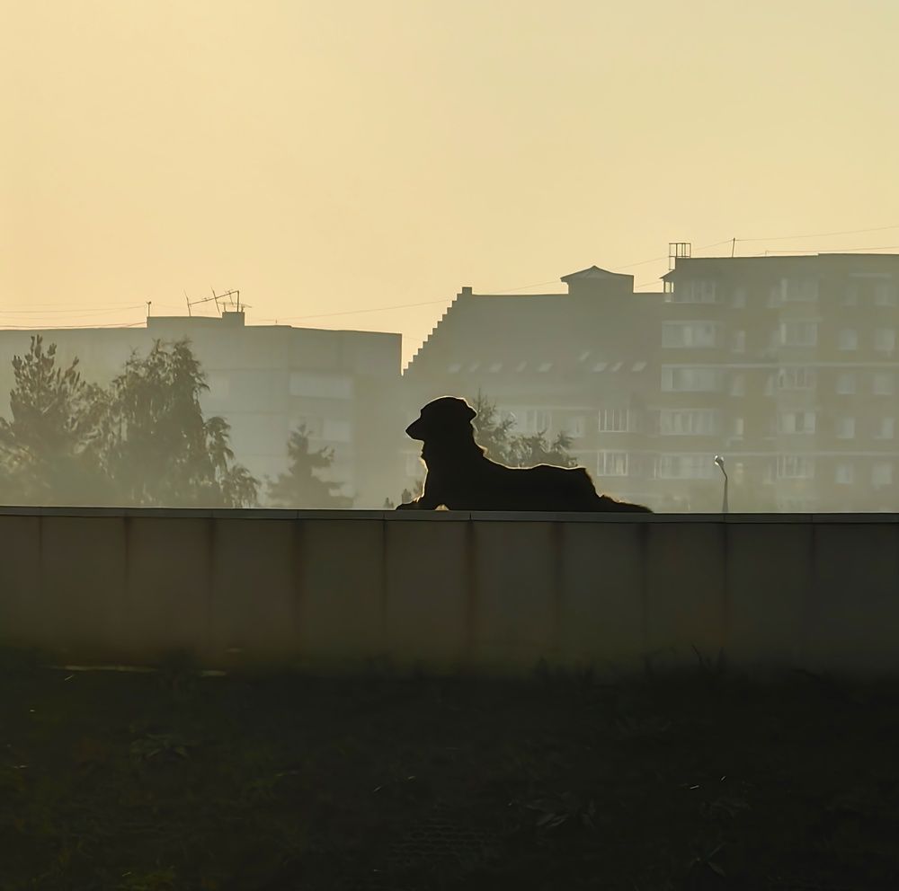 Photograph by Maiya Bulatova