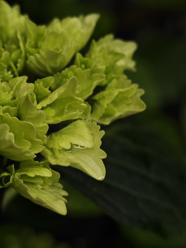 Photograph by Александра Шилова