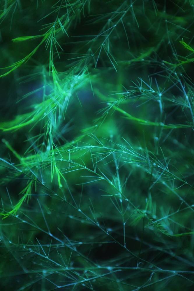 Photograph by Татьяна Максакова