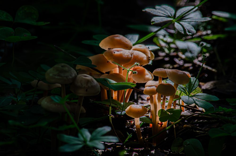 Photograph by Oksana Kuzmina