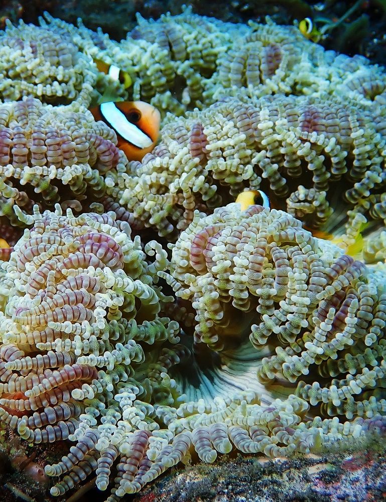 Photograph by Кирилл Леднев