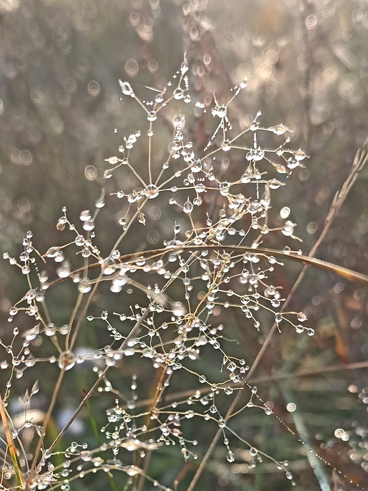 Photograph by Наталья Резванова