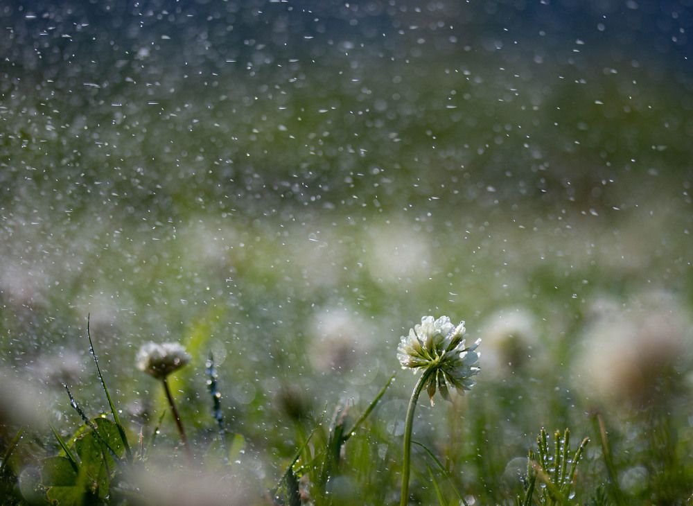 Photograph by Татьяна Панчешная