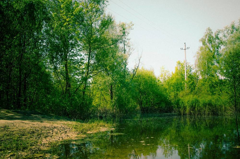 Фотография автора Анастасия Роговцова