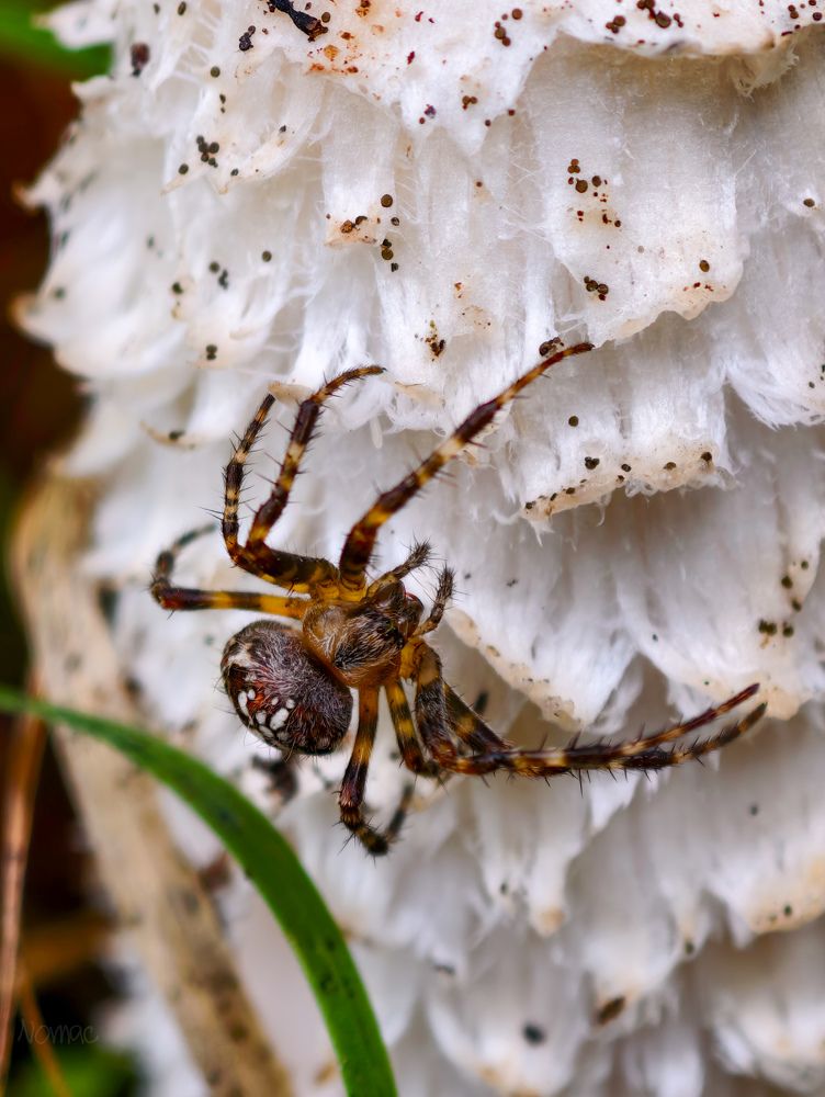 Photograph by Евгений Порсов