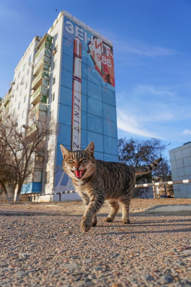 Photograph by Алексей Оборин