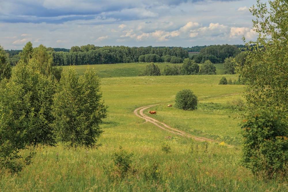 Фотография автора Галина Шепелева