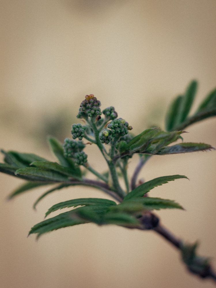 Photograph by Ольга Денисова