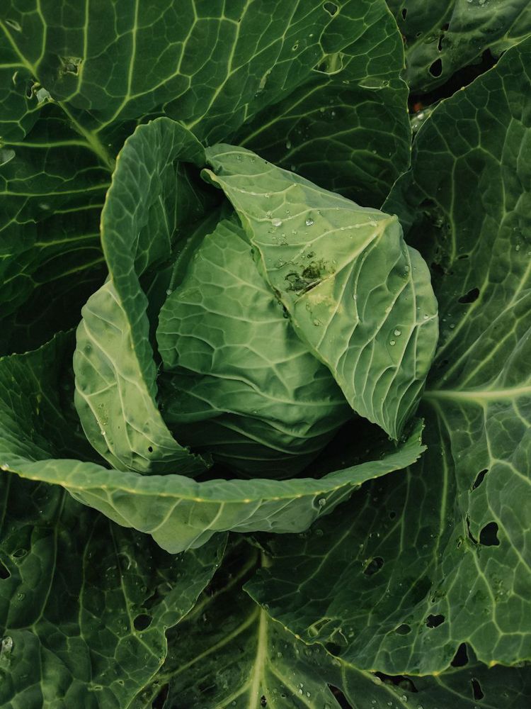 Photograph by Ольга Денисова