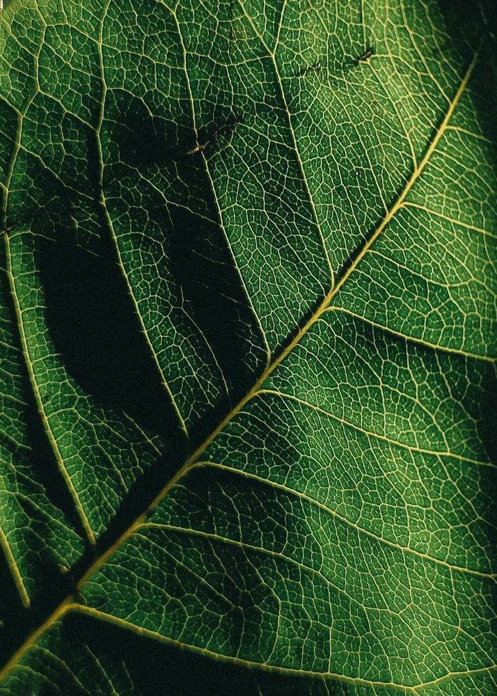 Photograph by Ольга Денисова