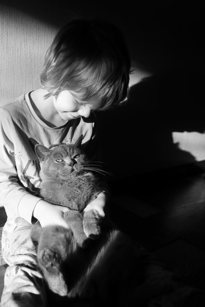 Фотография автора Наталья Боярина