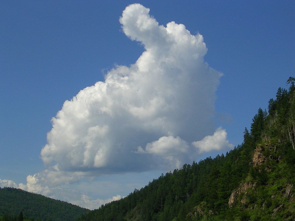 Фотография автора Татьяна Антонова