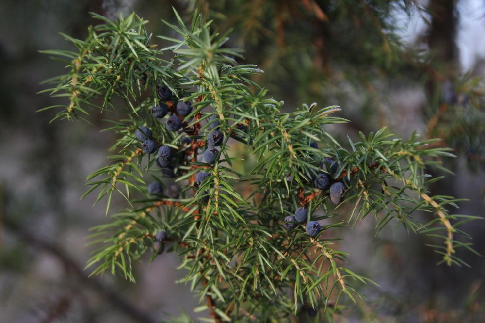 Photograph by Валерия Николаева