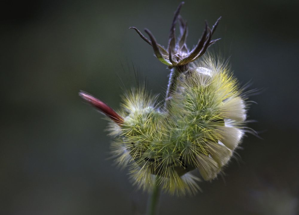 Photograph by Татьяна Панчешная