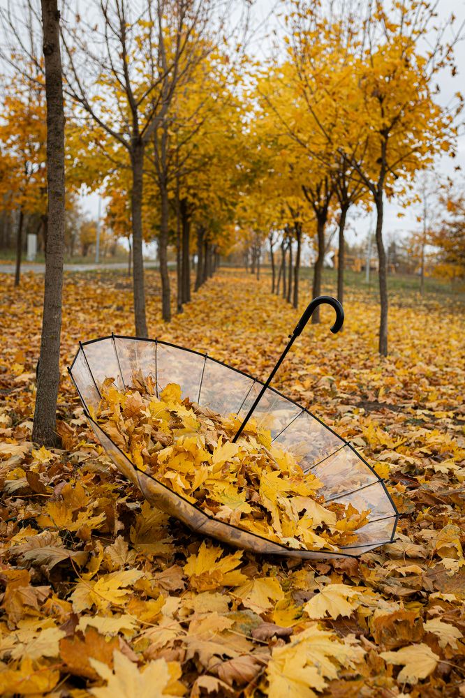 Photograph by Альфия Кривошеева